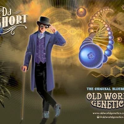 DJ Short - Blueberry F5