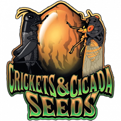 Crickets and Cicada - Ten Four (Chemdog 4 x M10)