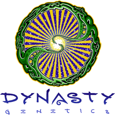 Dynasty - Ms Universe F2 (Ms Universe 3 x Ms Universe 10)