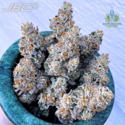 Exotic - Dirty Little Secret (Donkey Butter x Rainbow Chip)