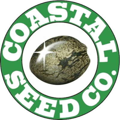 Coastal - SFV Colombian (SFVx Colombian)