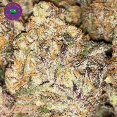 Legendary - Grape Runtz (Tie-Dye x Grape Stomper)
