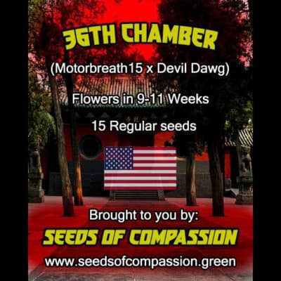 SOC - 36th Chamber (MB15 x Devil Dawg)