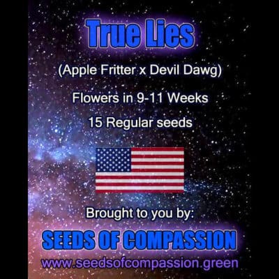 SOC - True Lies (Apple Fritter x Devil Dawg)