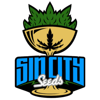 Sin City Seeds - Medical Glue (GG4 x ACDC)