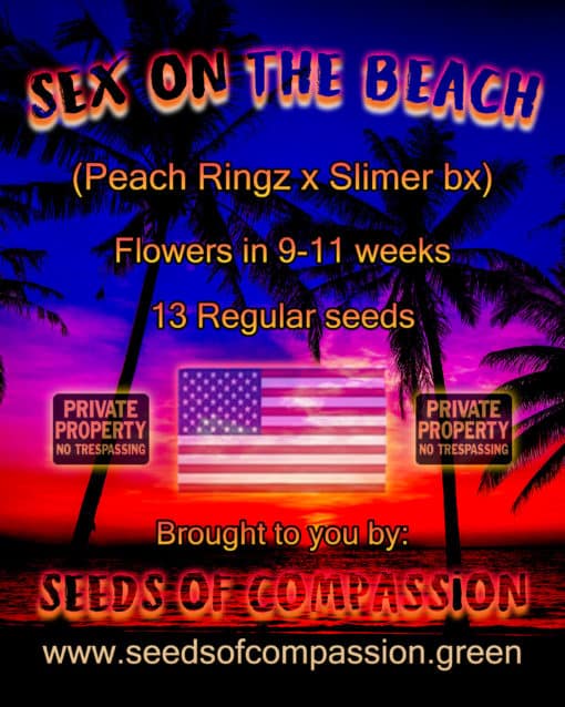 SOC - Sex On The Beach (Peach Ringz x Slimer BX)