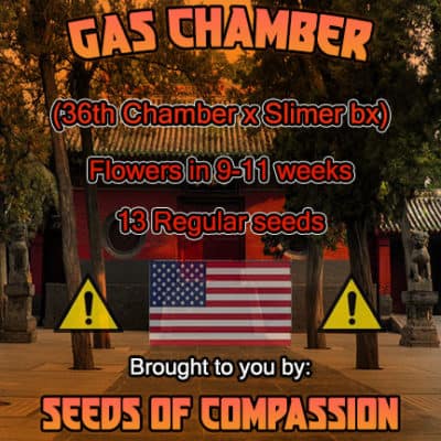SOC - Gas Chamber (36th Chamber x Slimer BX)