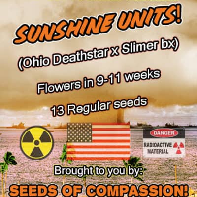 SOC - Sunshine Units (Ohio Deathstar x Slimer BX)