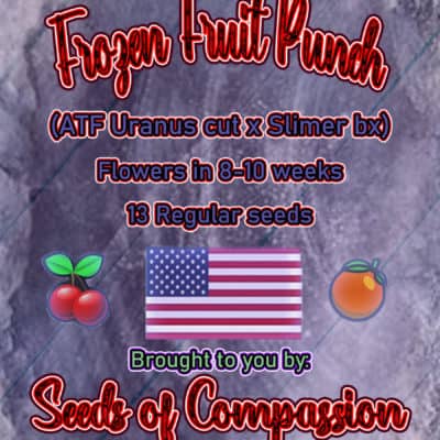 SOC - Frozen Fruit Punch (ATF Uranis Cut x Slimer BX)