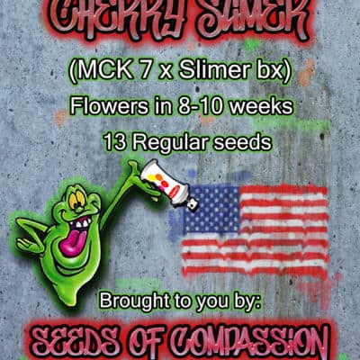SOC - Cherry Slimer (MCK 7 x Slimer BX)