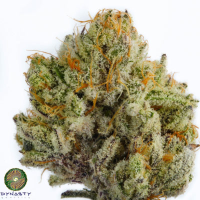 Dynasty - Black Watermelon (Black Blue Magoo x Ms Universe #10)