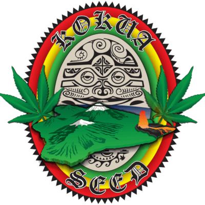 Kokua Seed - Polu Kau (Blue Space Cake x Goat Skull)