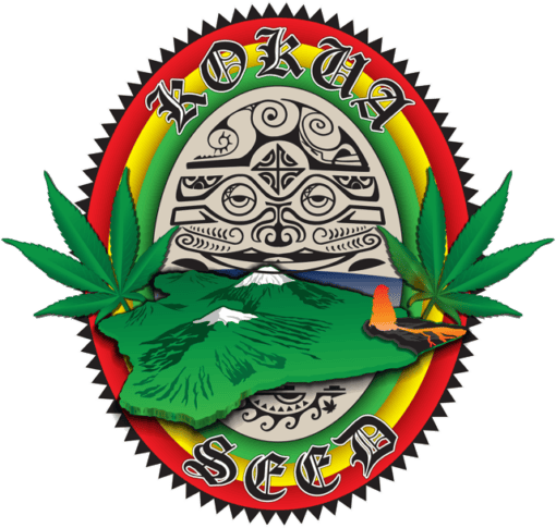Kokua Seed - Polu Kau (Blue Space Cake x Goat Skull)