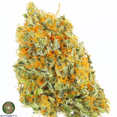 Dynasty - Sour Peach Cheesecake (Sour Peach Cobbler x Exodus Cheese BX1)
